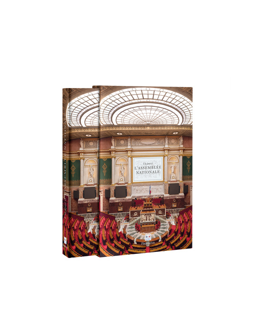 Ambroise Tézenas - Un jour à l'Assemblée nationale