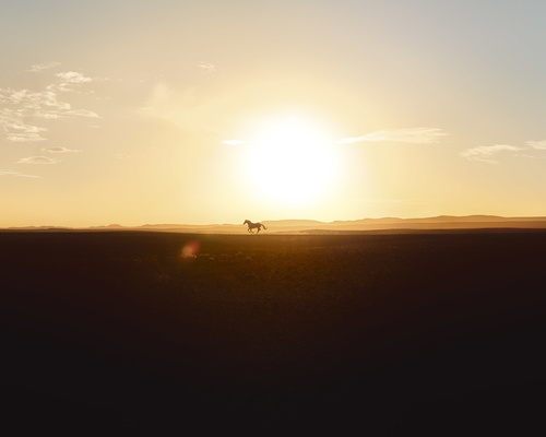Ambroise Tézenas - Terre d'Hermès